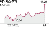 매장,매출,메이시스,구조조정,성장,실적,증가,체인