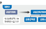 금감원,감독,금융사,개편,금소원,금감위