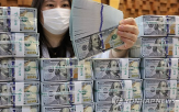 달러,환율,미국,주식,고용,결제,금리