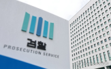 정부,기능,신설,전담,폐지,수청,개편,기존
