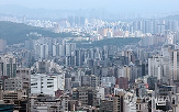 대출,한도,규제,대환대출,가계부채,차주,추가