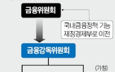 감독,조직,금융,개정,정부,개편,정책