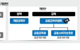 금융,개정,개편,감독,기능,업무,정부