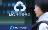 새마을금고,상반기,연체율,금고,적자,작년,신협