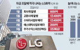 LG화학,계약,LG에너지솔루션,지분,신사업,주식,규모,발행,증권사,자금