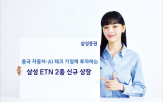 중국,자동차,기업,상위,투자