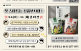중구,전통시장,투어패스,이벤트,관광객