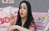 하리수,트랜스젠더,연예계