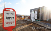 발생,고병원성,토종닭,농장,소독,가금농장