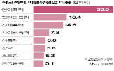 증가,학교폭력,학교,사이버폭력,피해,포인트