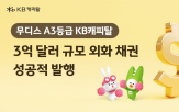 캐피탈,발행,외화채,성공