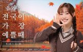 할인,캠페인,여행,가을,관광지,한국관광공사,기간,행사