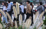 아침,안개,예상