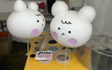 솜사탕,커피,행사,페스티벌,청춘