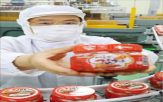 김치,대표,수출,제품,입맛,업체