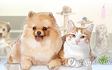 사용권,배타적,상품,보장,치매