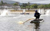 새우,인도네시아,산업단지,미국,세슘,오염