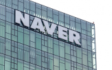 네이버,나무,외국인,주가,실적