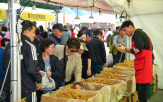 축제,다양,풍기인삼,방문객,농특산물,영주시,풍기인삼축제,영주지역