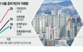 지난달,거래량,전용,대책,성동구,아파트,서울,마포구,매수,이후