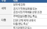 방안,부동산,대책,대출,확대