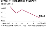 가격,코코아,초콜릿,올해