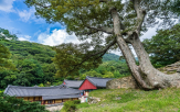 대흥사,사찰,마음,해남,구역,뿌리