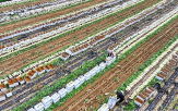 시범사업,신청