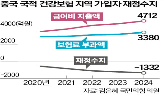 중국인,가입자,건보,적자,지역,재정수지,대상