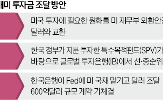 통화스와프,미국,재무부,방안,한국,체결,한은,정부