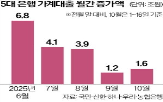 대출,은행,신청,모집인,주담대,제한
