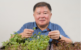 2025.Plant