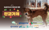 이번,사람,안고가개,전북특별자치,동물,입양교감,캠핑,유기동물