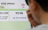 대환대출,규제지역,주담대,대출