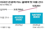 외국인,관광객,결제,동기,대비