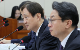 금감원,특사,사건,인지수사권,조사