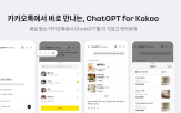 카카오,이용자,서비스,카나나,제공,정보,대화