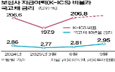 금리,비율,상승,주가,보험사