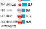 수익률,주식,투자자,올해,국내