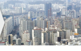 월세,전세,대책,보증금,이후,아파트,거래량,이달,시장,지역