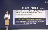 중국,거래,구매,미국산,정부,선물,대두,분석가