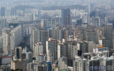 규제지역,대책,증가,수도권,지역,아파트,거래,규제
