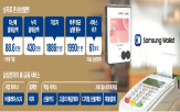 금융,서비스,삼성전자,삼성,결제,미국,국내,삼성월렛