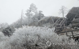 영하,이날,일부,첫눈,지리산