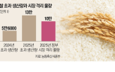 쌀값,산지,가격,햅쌀,정부