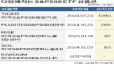 S&P500,투자,미국S&P500,상품,가운데,비중