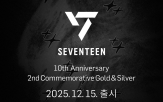 세븐틴,실버,골드,데뷔