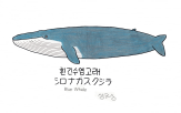 동물,신수성,그림,묘사,전시,방대
