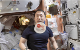 조니,김치,김은,NASA
