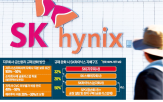 반도체,SK하이닉스,투자,완화,정부,증손회사,자회사,규제,특례,적용